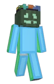 Skin preview