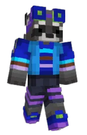 Skin preview