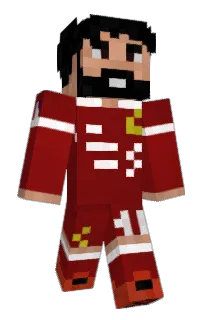 Front of ntgnixon's skin