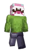 NaNCat1