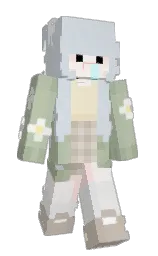 Minecraft skin — Slim model
