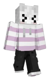 Front of ZenithSD55's skin