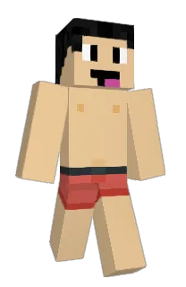 Front of Django_Tn's skin