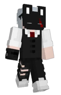 Front of PixelDMX's skin
