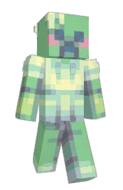 Skin preview
