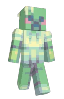 Front of flittel's skin