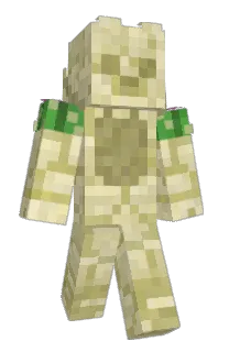 Front of R4quin10y200's skin