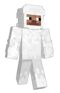 Front of WTTNHK's skin