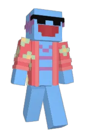 Skin preview