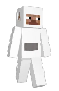 Front of shuk's skin