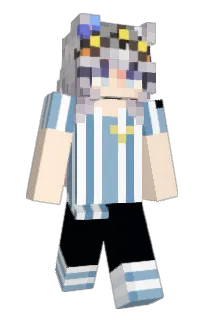 Front of Minecraft skin