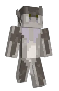 Front of TheChurromans's skin