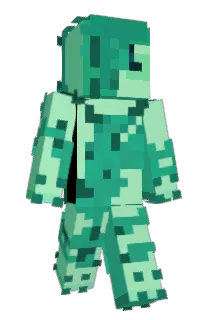 Front of Dakorata's skin