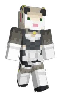 Front of Euclid7's skin
