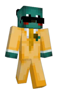 Front of ilrq's skin