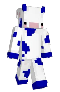 Front of BancaBonca's skin