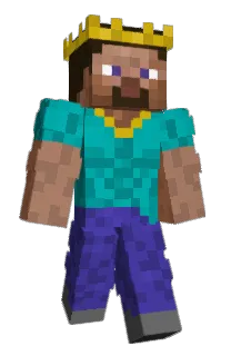 Front of Hudsuion's skin
