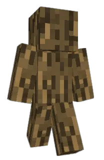 Front of 1visible's skin
