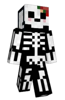 Front of Who_know_me's skin