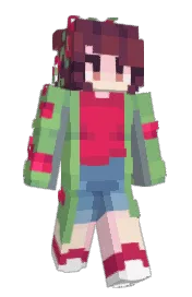Skin preview
