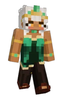 Front of fercits's skin