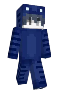 Front of awusi's skin
