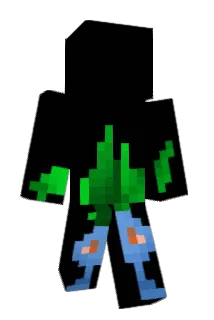 39nhs Minecraft avatar full body