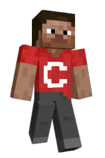3FC Minecraft avatar full body