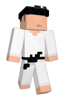 3SJS Minecraft avatar full body
