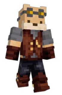 Front of DavidandRocket's skin
