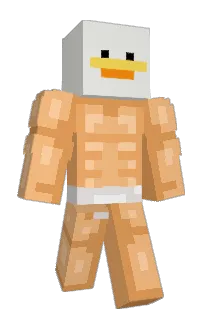 MagicFoxTM1's Minecraft skin