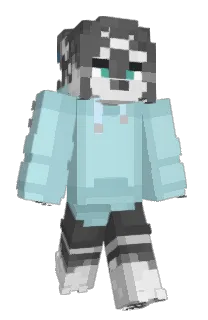 Front of vizorkid's skin