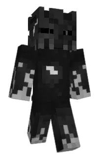 Front of TNA's skin