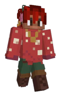 Front of HappisHome's skin