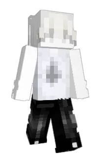 Front of vlpw's skin