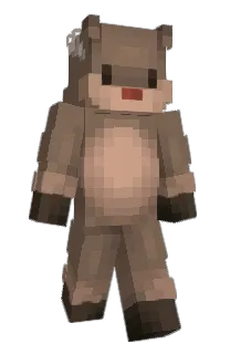 Front of ssly's skin