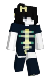Skin preview