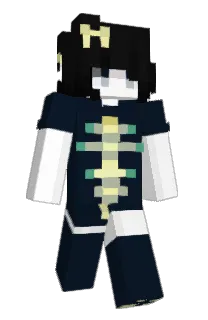 Front of elytrachan's skin