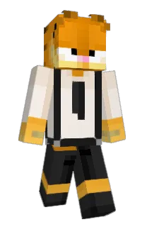 Front of Minecraft skin