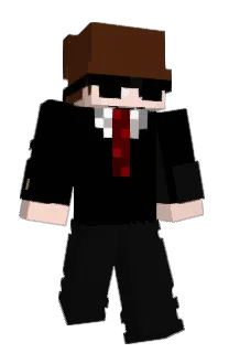 Front of stendrei's skin