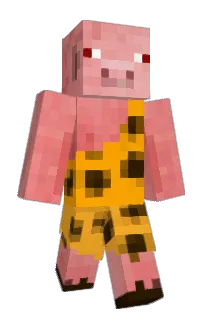 Front of elektronisches's skin