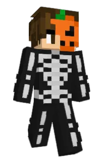 Front of Fisiowy's skin