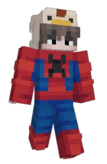 Front of iUngravity's skin