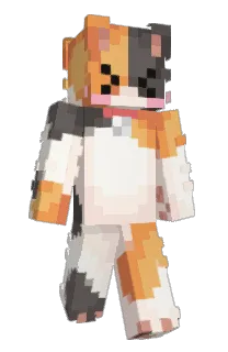 Front of Furlight's skin