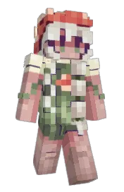 Skin preview