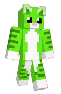 Front of Kwwkrry's skin