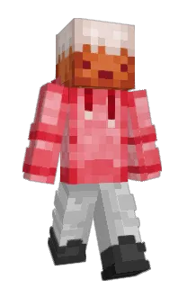 Aceninja202's Minecraft skin