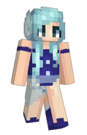 Skin preview