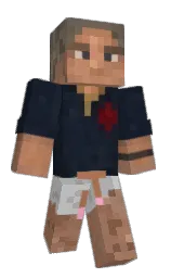 Minecraft skin — Classic model