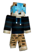 ErimMC